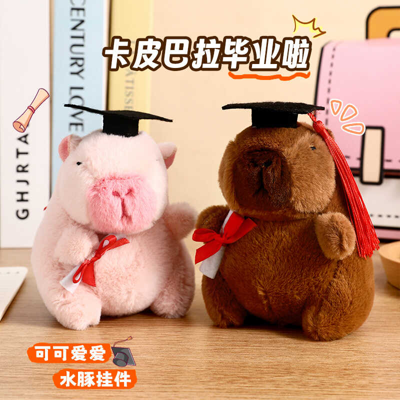 毕业小礼品金榜题名创意毛绒公仔
