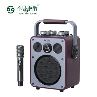 不见不散流浪者D5户外K歌音响超重低音炮手提便携式麦克风音响一