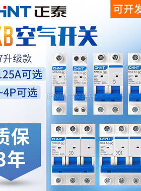 正泰空气开关NXB家用空开chint断路器1P2P4p63A三相电保护电闸100