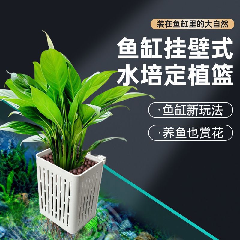 鱼缸水族箱上养花顶部种花定植篮种植盆筐盒绿萝铜钱草白薯红薯花