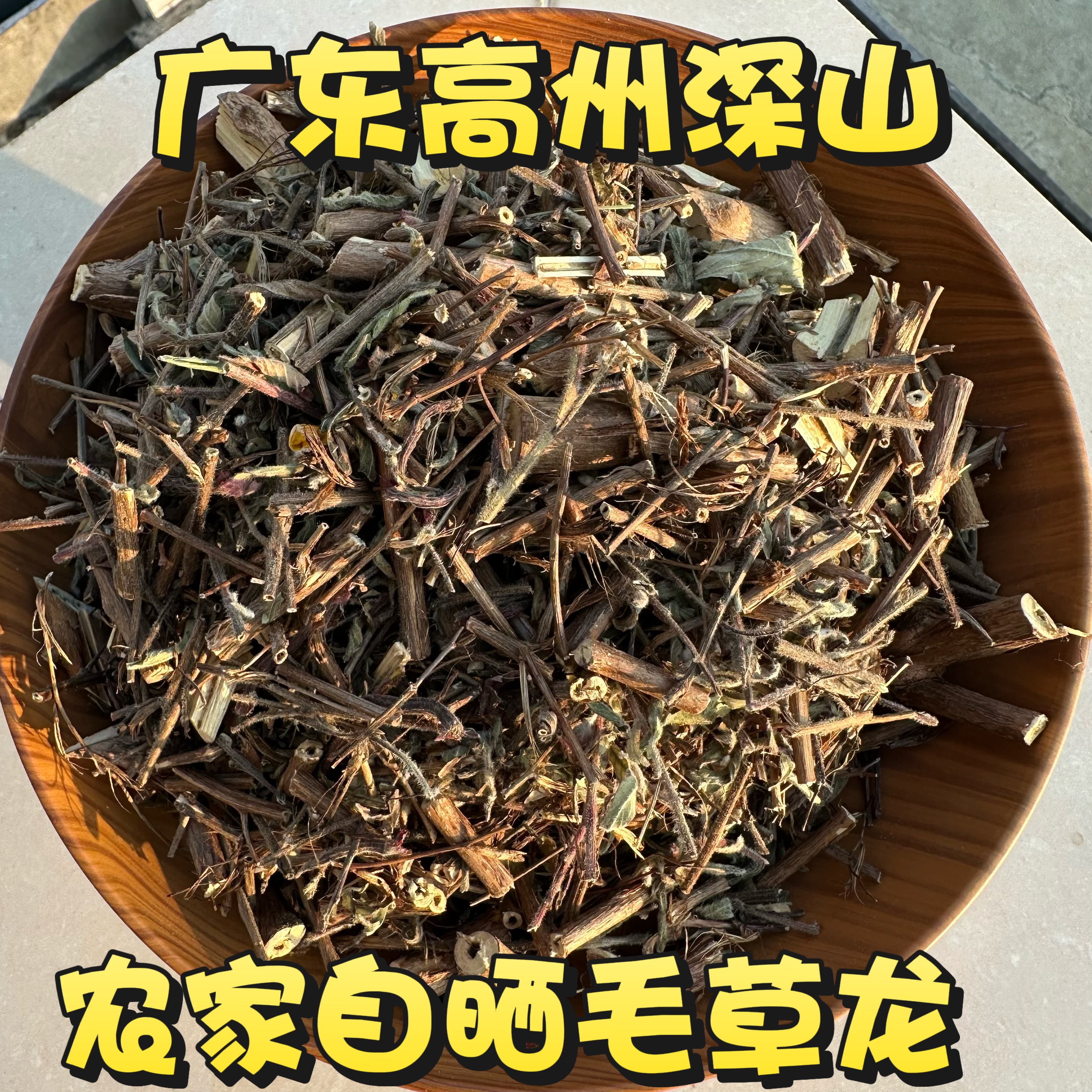 毛草龙枝叶水丁香 草里金钗 广东红骨针筒刺水秧草水石榴晒干包邮