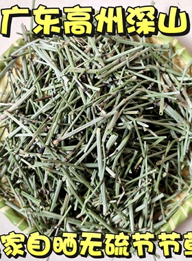 木贼中药材节节草 正品野外千峰草笔头草 笔筒草节骨草无心草锉草