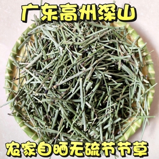木贼中药材节节草 正品野外千峰草笔头草 笔筒草节骨草无心草锉草