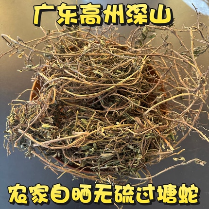 干品过塘蛇 农家新晒过塘蛇 原生过江龙广东新鲜过江藤鱼鳔草包邮