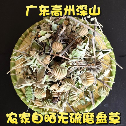 磨盘草中药材100g克野生新货 药用干品响耳草磨盆草金花草 中草药