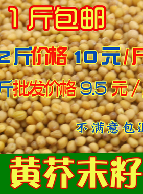 芥末籽粒 500g芥菜子芥辣菜籽干净黄芥末粉籽黄介籽 Mustard seed