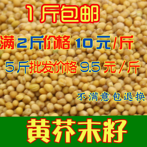 500g黄芥末籽内蒙酸黄瓜料