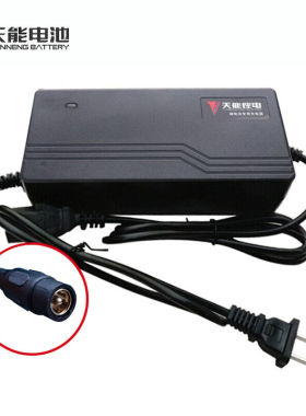 天能电动车锂电池专用充电器适用锂电池36V10AH48V12Ah60V30Ah72V