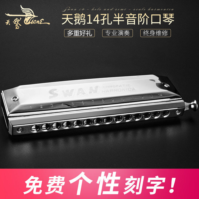 天鹅口琴14孔12孔半音阶口琴16孔初学者学生入门教学成人演奏乐器