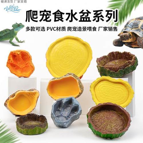 爬宠食盆岩石泡澡盆龟蜥蜴角蛙蛇