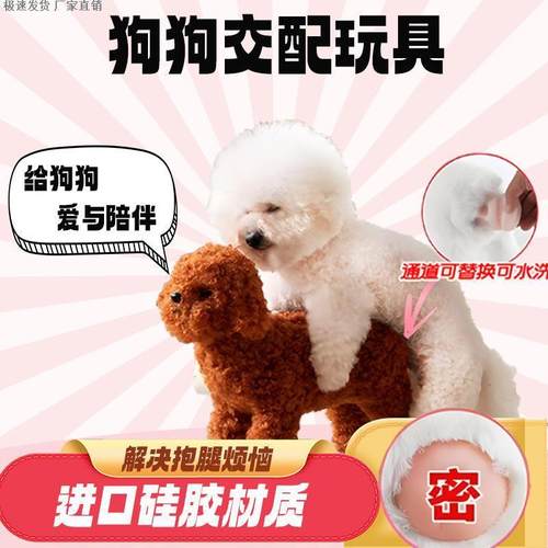 狗狗泰迪交配发泄火性伴侣宠物