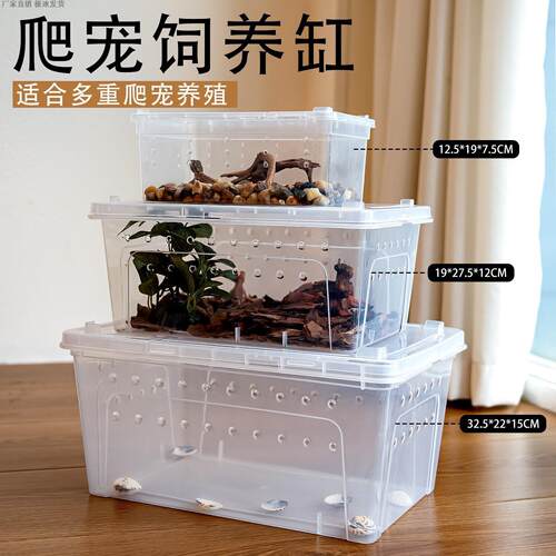 爬虫乌龟冬眠小号饲养盒角蛙睫角