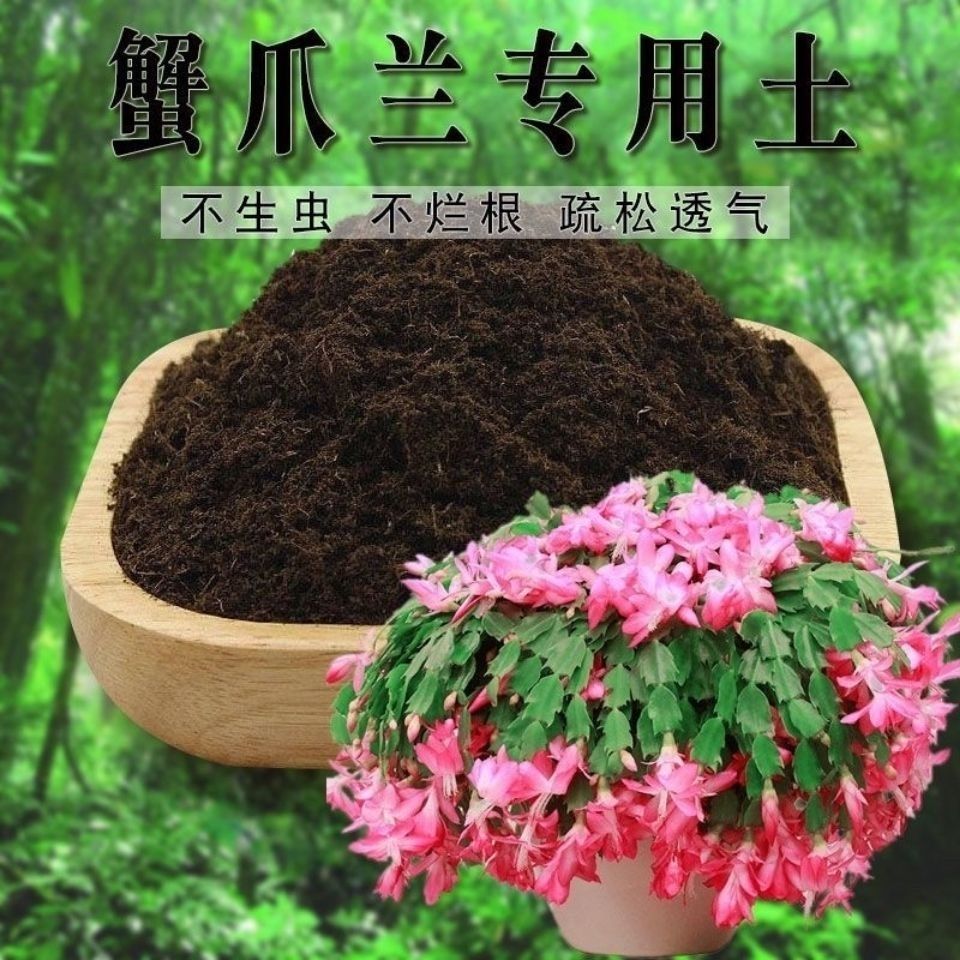 疏松透气蟹爪兰适用土营养土肥料图片