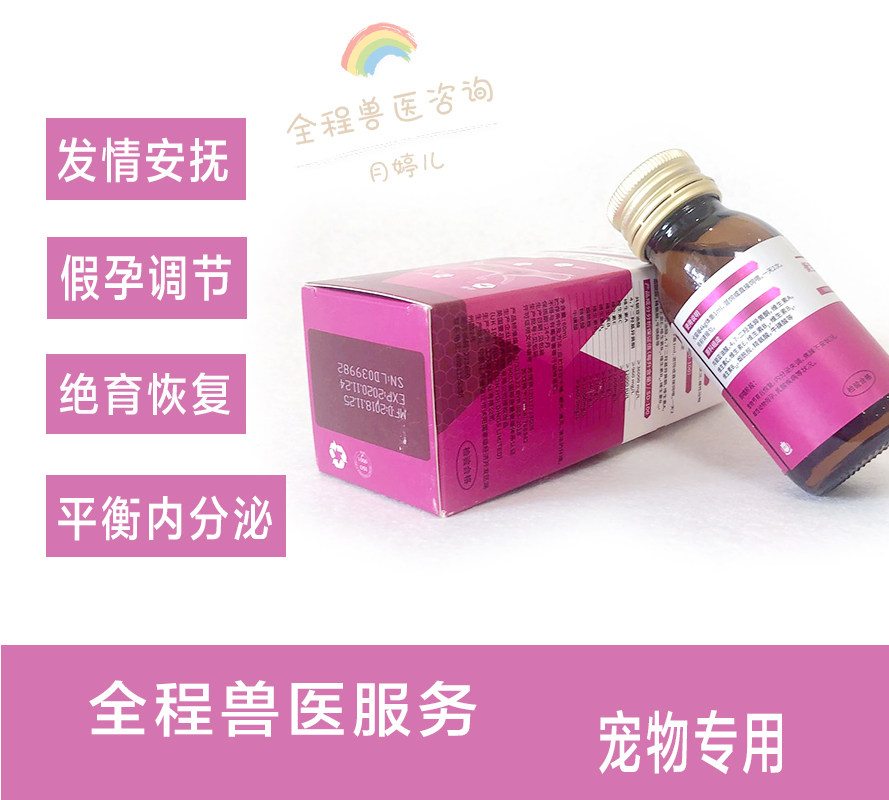 内分泌调理发情假孕节育调节内分泌绝育调理兔子豚鼠龙猫猫咪仓鼠