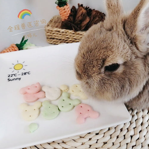 除臭饼干调理兔子刺猬日常消臭