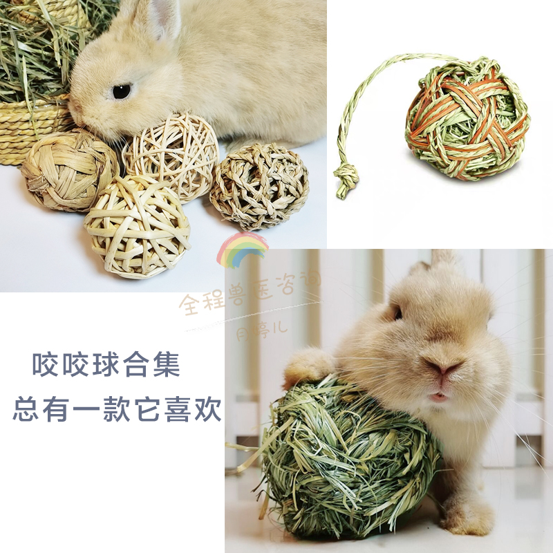 提摩西草球咬咬球果枝磨牙玩具