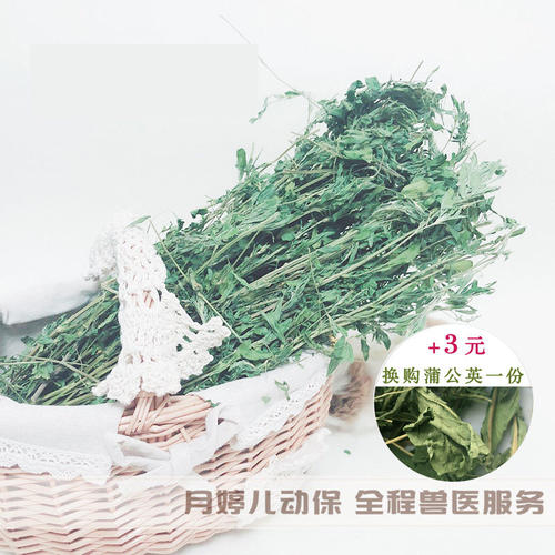 苜蓿草幼兔主食草孕兔豚鼠龙猫
