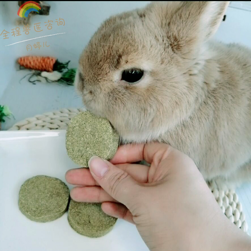 手工草饼香香磨牙好零食兔子豚鼠龙猫仓鼠提摩西果树苜蓿