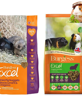 布格斯黑加仑荷兰猪粮豚鼠主粮天竺鼠Burgess幼年成年通用1.5公斤