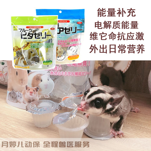 品高氨基酸电解质果冻外出防应激兔子龙猫花枝仓鼠蜜袋鼯豚鼠