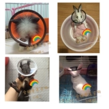 Крышка головы маленького питомца Элизабет Медицина антибитового круга против ликоваемого пораженного района Китты, кролик, морская свинья сосновая белка