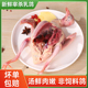鸽子新鲜现杀农家散养鲜活肉鸽月子滋补煲汤炖汤乳鸽生鲜老鸽顺丰