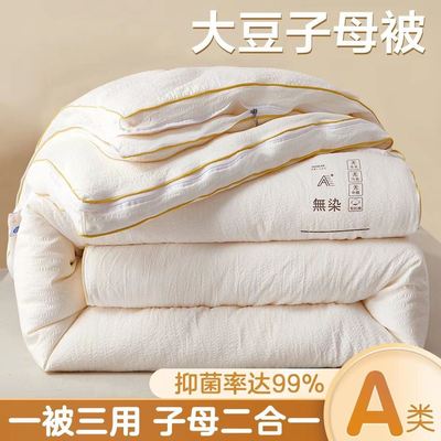被芯150x200棉被A类母婴级大豆纤维子母被二合一拉链款被子冬加厚