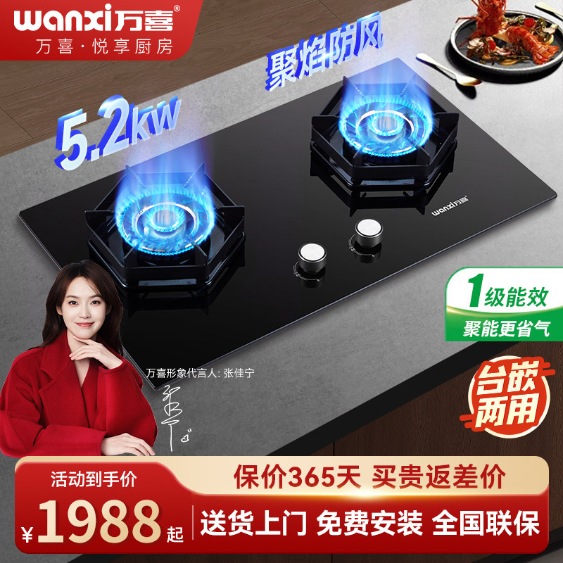 万喜JZT/Y-668B3燃气灶双灶家用台嵌两用天然气液化气灶猛火炉具
