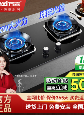 万喜JX76B8燃气灶煤气灶双灶家用液化气灶具台嵌两用天然气大火力