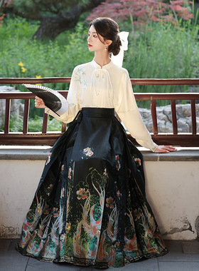Hanfu Skirt Chinese Style Costume Mamianqun Ming Dynasty汉服