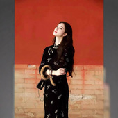 dress womens qipao旗袍 chinese traditional cheongsam elegant