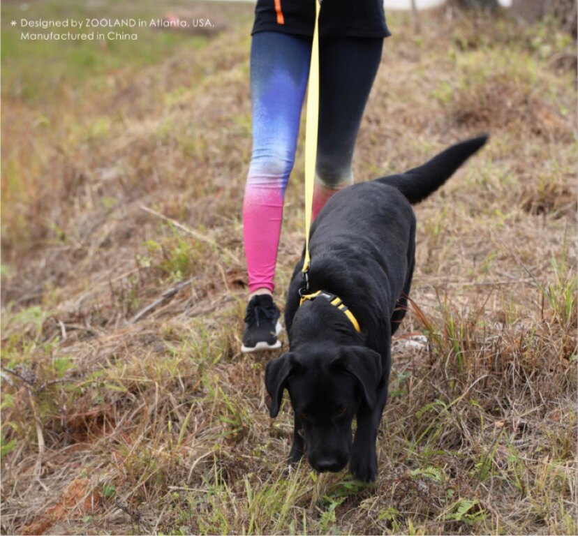 清货域揽ZOOLAND 纯色缎面牵引套装 宠物犬猫脖圈胸背狗链牵引