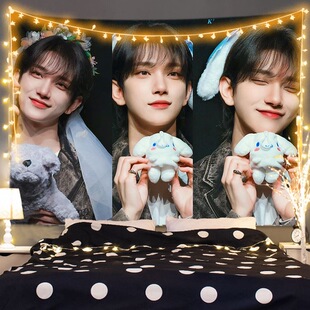 洪知秀Joshua周边挂布背景布学生房间寝室宿舍床头客厅装饰墙布