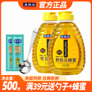 养蜂农洋槐蜂蜜480g挤压瓶枣花枇杷紫云英野桂花纯正天然成熟蜜