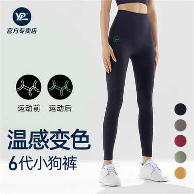 正品现货澳洲ypl高压能量瑜伽裤高腰健身跑步运动塑身小狗裤
