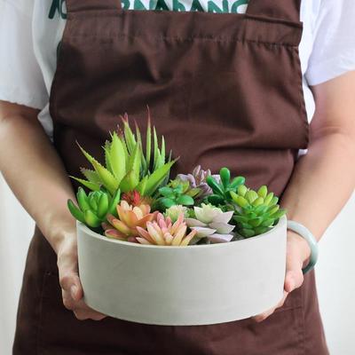 水泥矮花盆浅大口径圆形多肉拼盘白色植物仙人掌造景宽口盆栽20CM