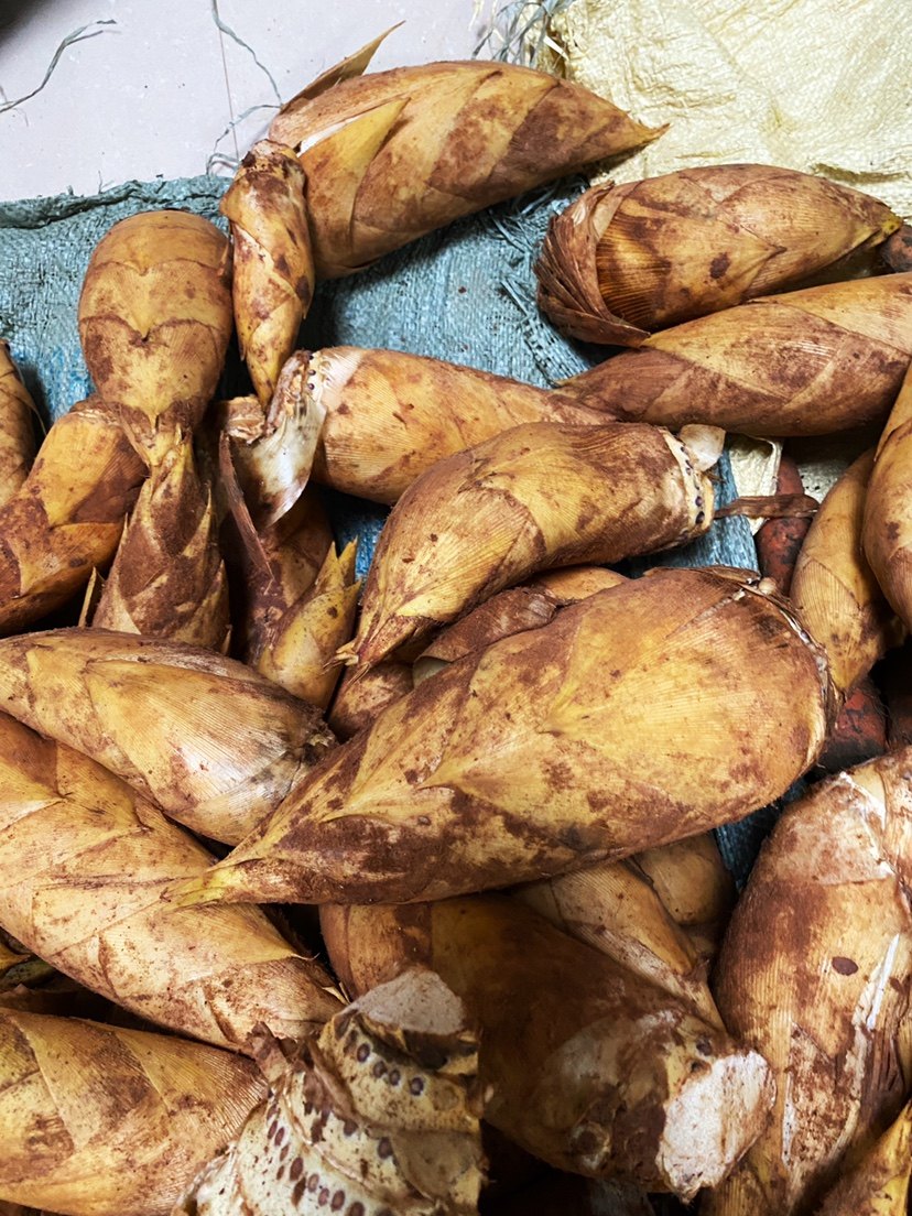 湖南衡阳耒阳本地新鲜冬笋楠竹之乡,水产肉类/新鲜蔬果/熟食,竹笋,淘宝优惠券,粉丝福利购,淘宝优惠卷