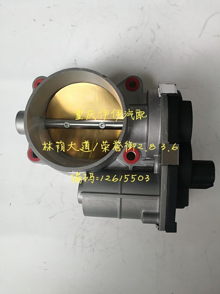 奥众品牌 林荫大道 2.8 林荫大道荣御科帕奇电子节气门 12615503