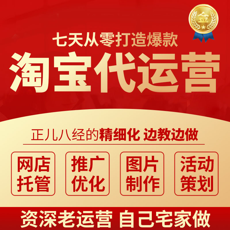 淘宝代运营天猫网店整店托管个人直通车推广PDD店铺电商方案优化