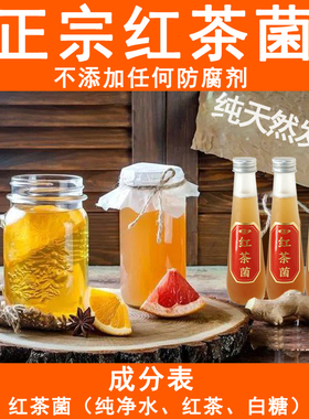 正宗红茶菌菌液海宝胃宝茶纯天然活菌康普茶kombucha新年送礼