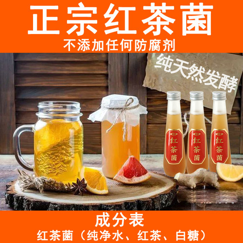 正宗红茶菌菌液海宝胃宝茶纯天然活菌康普茶kombucha新年送礼