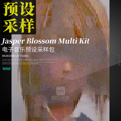 电子音乐EDM预设采样包