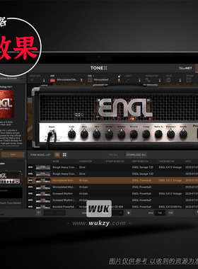 IK Multimedia ENGL Ampthology Vol 1（ENGL箱头ToneX签名包）