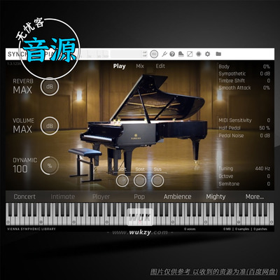 维也纳钢琴播放器演奏工具