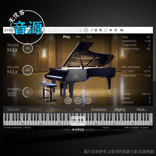 维也纳钢琴播放器演奏工具