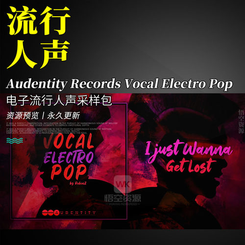 Pop电子流行人声采样包