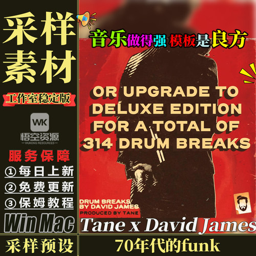 Tane x David James Pocket Essentials Vol.3 Deluxe WAV 采样