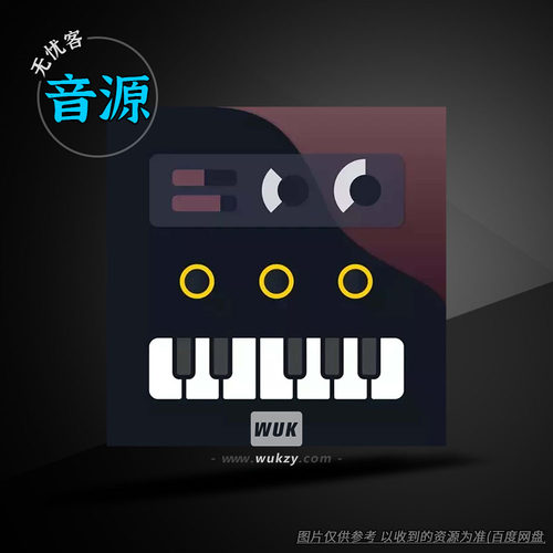 KORG专业键盘音源模块