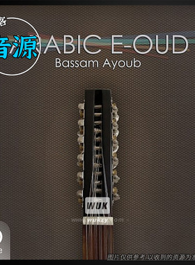 中东马卡姆阿拉伯电子乌得琴2套合集丨Engine Arabic Oud&E-Oud
