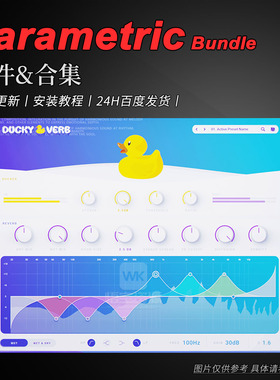侧链闪避式可调参数混响器丨Parametric Ducky Verb
